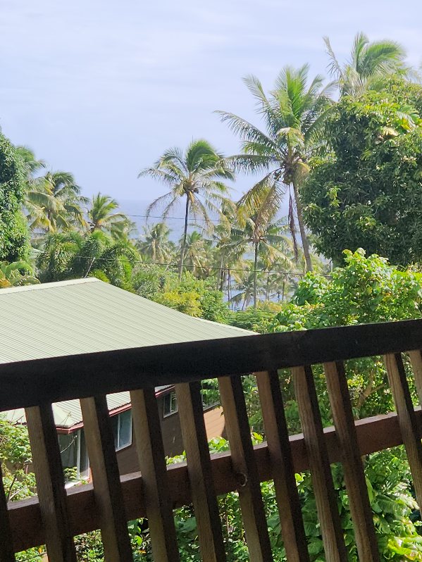 12-7205 Mauka Nui St, Pahoa, HI 96778 - water view