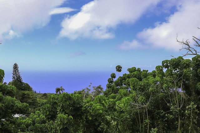 78-1337 Bishop Rd, Holualoa, HI 96725 - view of undeveloped land