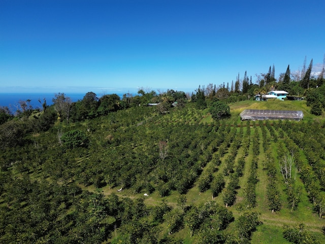 78-1337 Bishop Rd, Holualoa, HI 96725 - view from above of property