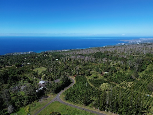 78-1337 Bishop Rd, Holualoa, HI 96725 - aerial view of property's location with a forest and a large body of water