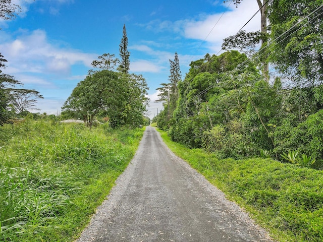 Makuu Dr, Keaau, HI 96749 - photo 4