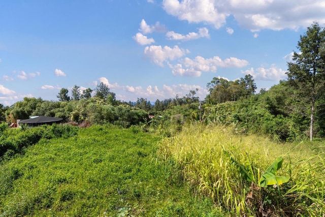 89-1444 Anapuka Rd, Captain Cook, HI 96704 - view of woods