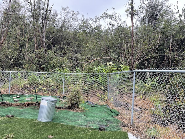 18-4209 Heno St, Mountain View, HI 96771 - view of yard