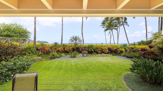 5390 Weke Rd, Hanalei, HI 96722 - view of green lawn