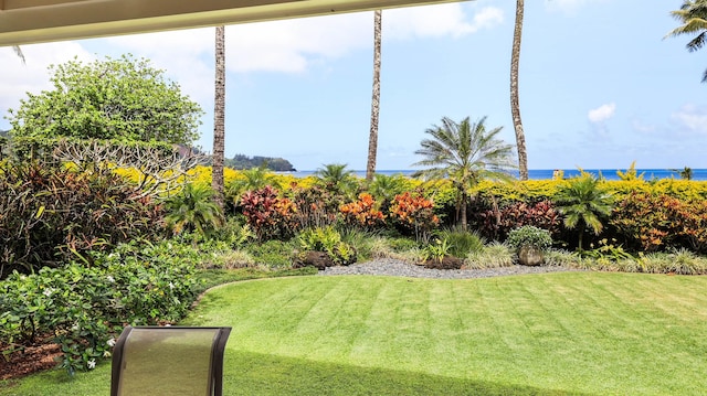 5390 Weke Rd, Hanalei, HI 96722 - view of green lawn