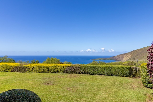 82-1171 Meli Rd, Captain Cook, HI 96704 - water view