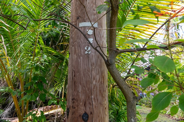 12-7008 Kaihulali St, Pahoa, HI 96778