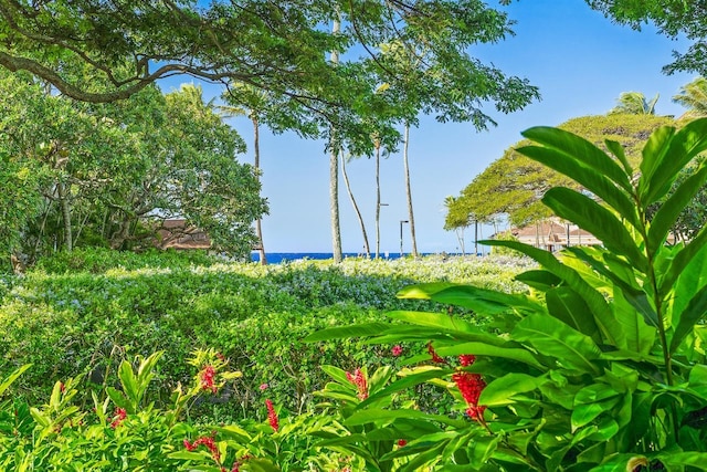 2253 Poipu Rd Unit 168, Koloa, HI 96756 - view of undeveloped land