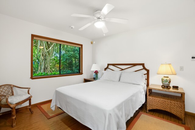 3700 Kilauea Rd Unit A, Kilauea, HI 96754 - photo 24