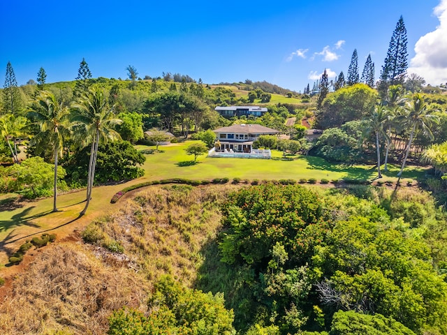3700 Kilauea Rd Unit A, Kilauea, HI 96754 - photo 29
