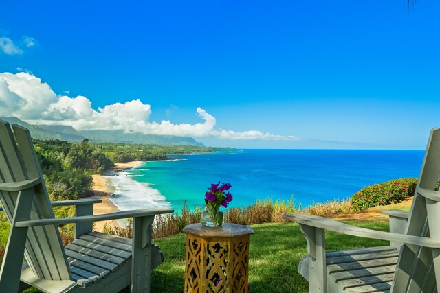 3700 Kilauea Rd Unit A, Kilauea, HI 96754 - photo 21
