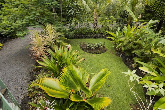 12-7002 Hoeunalu St, Pahoa, HI 96778 - view of green lawn