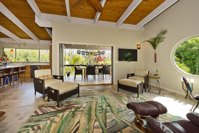 12-7002 Hoeunalu St, Pahoa, HI 96778 - living room featuring healthy amount of natural light and wood ceiling with exposed beams