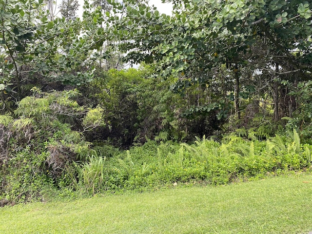 Kukane Rd, Keaau, HI 96749