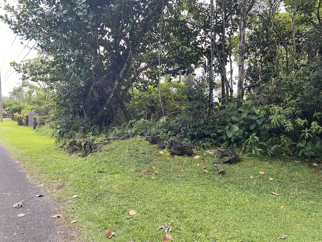 Kukane Rd, Keaau, HI 96749