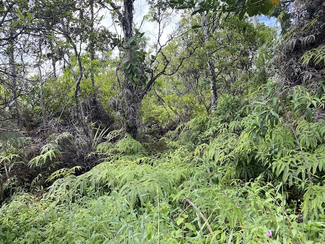 Kukane Rd, Keaau, HI 96749