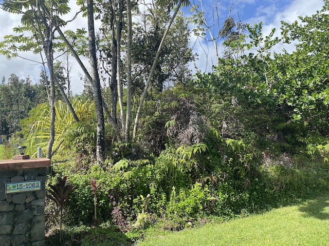 Kukane Rd, Keaau, HI 96749