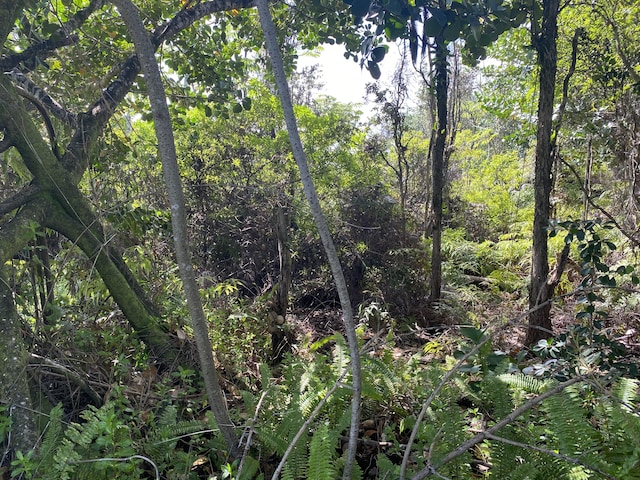 Kukane Rd, Keaau, HI 96749
