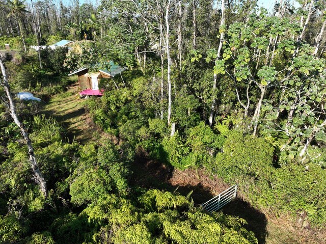16-2160 Bamboo Dr, Pahoa, HI 96778 - photo 12