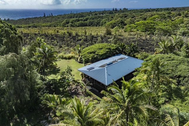12-7155 Loke Pl, Pahoa, HI 96778 - view of subject property featuring a large body of water