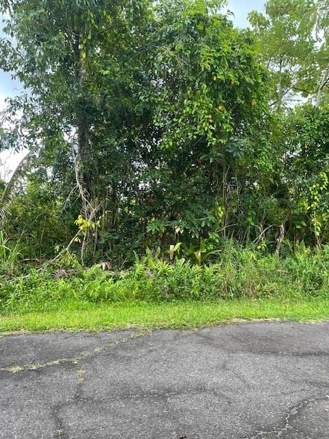 Hoeunalu St, Pahoa, HI 96778