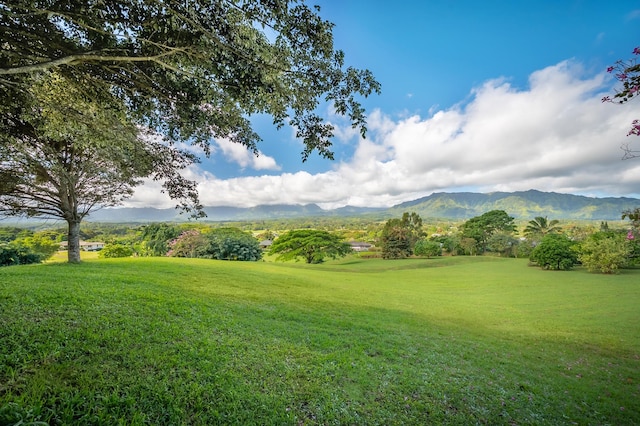 5729-J Kololia Pl, Kapaa, HI 96746 - photo 6
