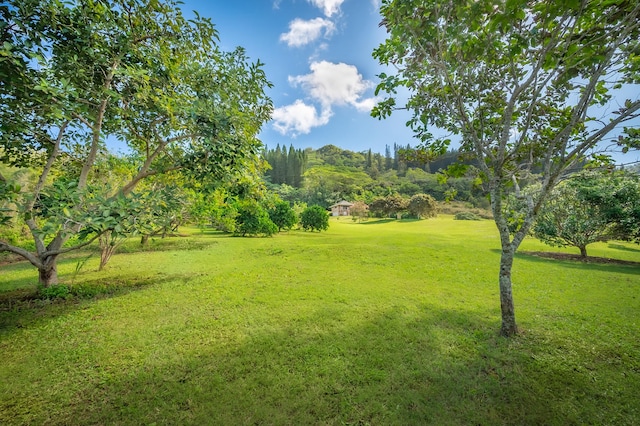 5729-J Kololia Pl, Kapaa, HI 96746 - photo 4