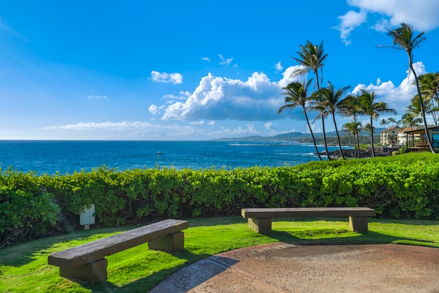 1661 Pee Rd Unit 2-105, Koloa, HI 96756 - photo 18