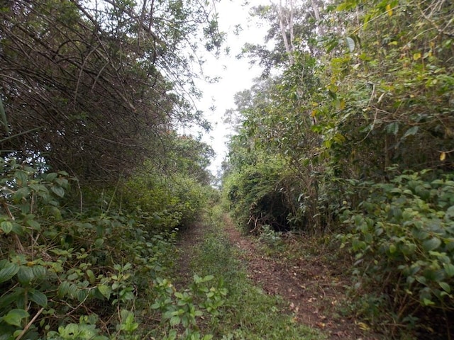 87-3270 Hawaii Belt Rd Unit 0, Captain Cook, HI 96704