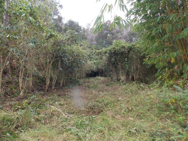 87-3270 Hawaii Belt Rd Unit 0, Captain Cook, HI 96704