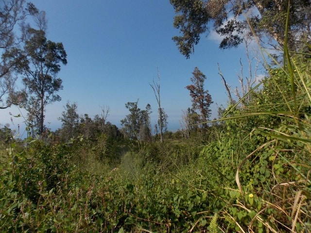 87-3270 Hawaii Belt Rd Unit 0, Captain Cook, HI 96704
