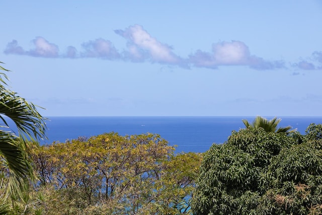 77-6585 Seaview Cir Unit 104, Kailua-Kona, HI 96740 - water view