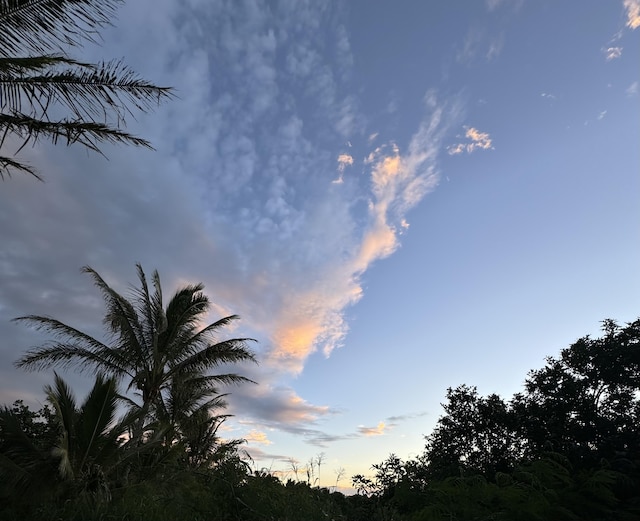 94-6435 Palaoa Rd, Naalehu, HI 96772 - view of nature