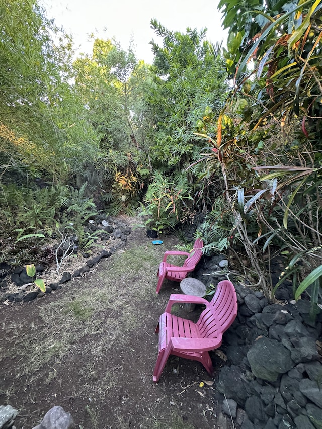 94-6435 Palaoa Rd, Naalehu, HI 96772 - view of yard