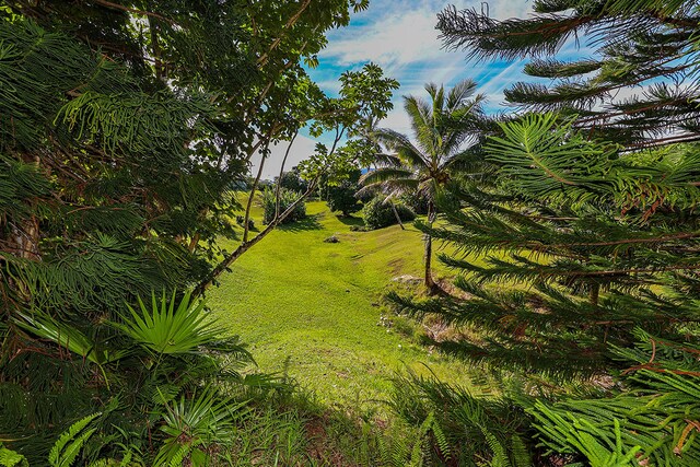 6828-B Kuamoo Rd Unit 2, Kapaa, HI 96746 - photo 5