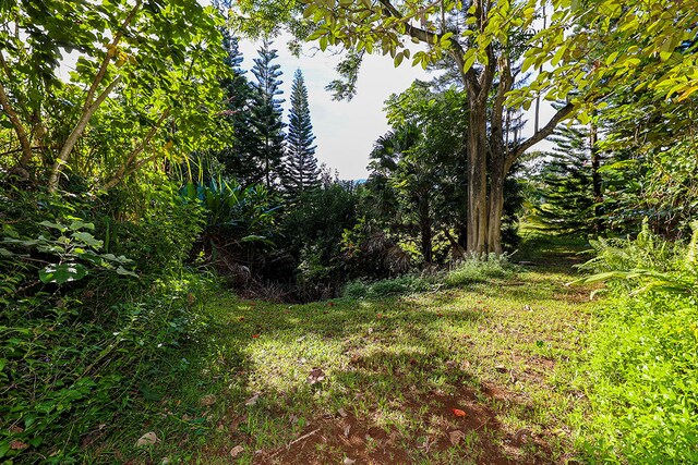 6828-B Kuamoo Rd Unit 2, Kapaa, HI 96746 - photo 6