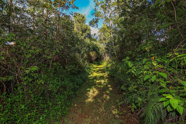6828-B Kuamoo Rd Unit 2, Kapaa, HI 96746 - photo 9