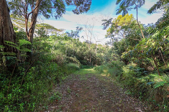 6828-B Kuamoo Rd Unit 2, Kapaa, HI 96746 - photo 10