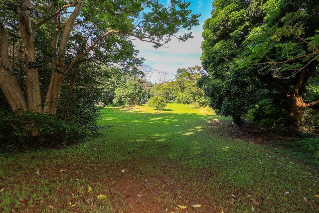 6828-B Kuamoo Rd Unit 2, Kapaa, HI 96746 - photo 11