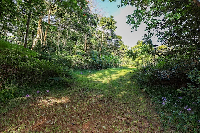 6828-B Kuamoo Rd Unit 2, Kapaa, HI 96746 - photo 12