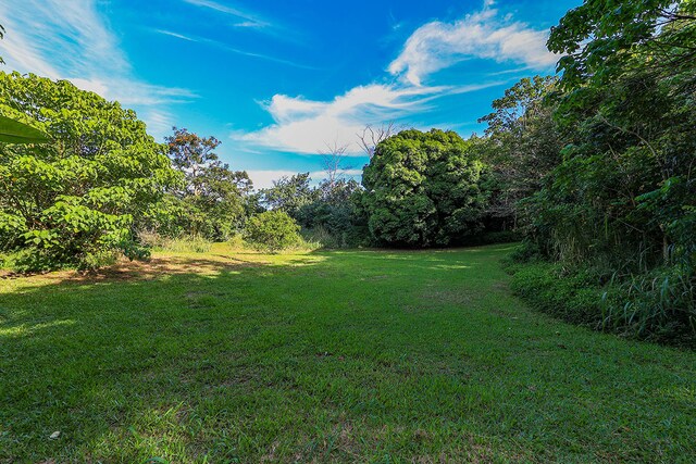 6828-B Kuamoo Rd Unit 2, Kapaa, HI 96746 - photo 13