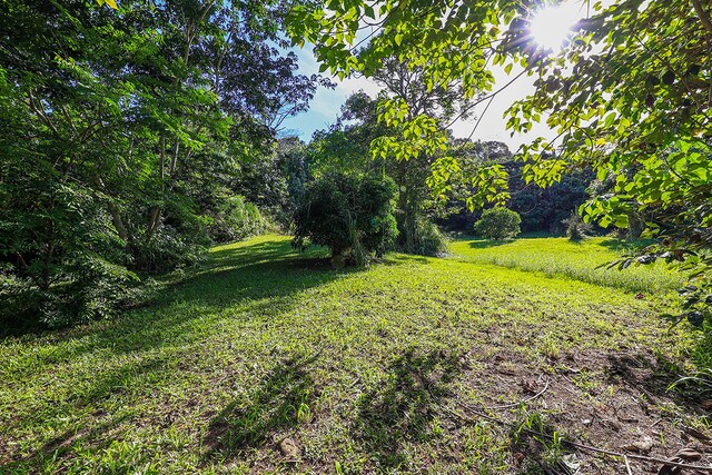 6828-B Kuamoo Rd Unit 2, Kapaa, HI 96746 - photo 15