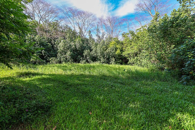 6828-B Kuamoo Rd Unit 2, Kapaa, HI 96746 - photo 16