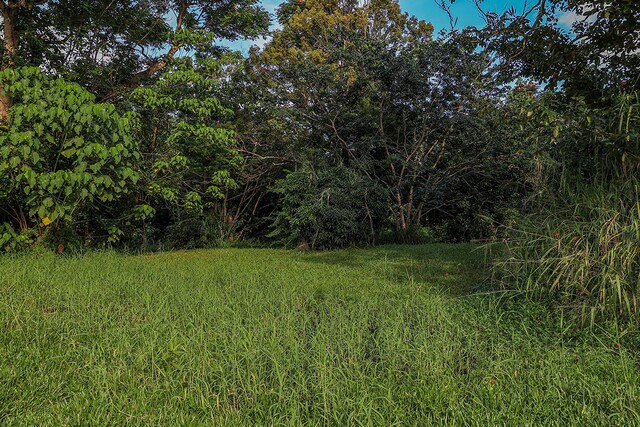 6828-B Kuamoo Rd Unit 2, Kapaa, HI 96746 - photo 20