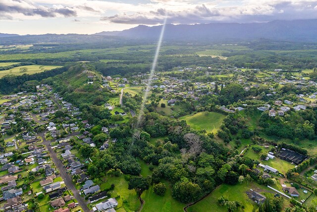 6828-B Kuamoo Rd Unit 2, Kapaa, HI 96746 - photo 24