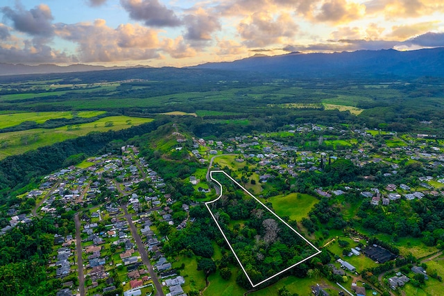 6828-B Kuamoo Rd Unit 2, Kapaa, HI 96746 - photo 29