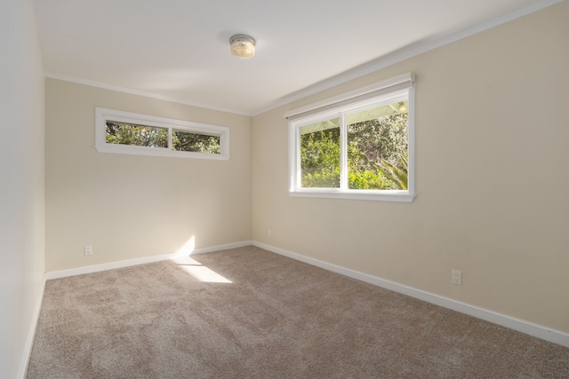 99-1775 Pukeawe Cir, Volcano, HI 96785 - carpeted empty room with ornamental molding and baseboards