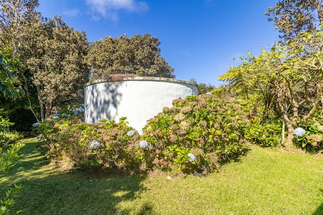 99-1775 Pukeawe Cir, Volcano, HI 96785 - view of grassy yard