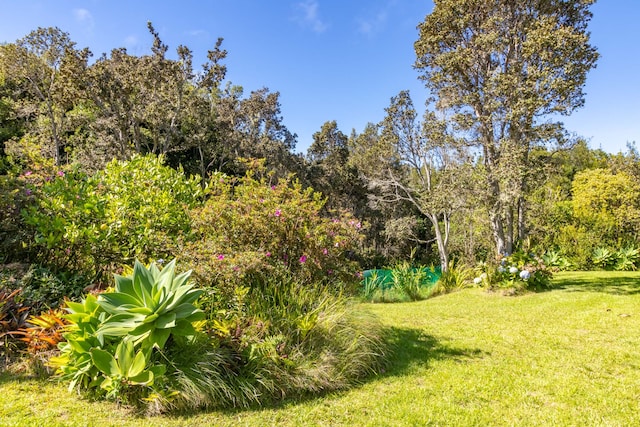 99-1775 Pukeawe Cir, Volcano, HI 96785 - view of grassy yard