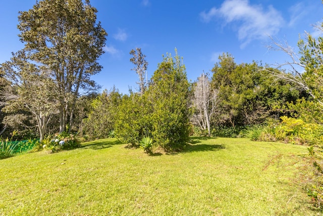 99-1775 Pukeawe Cir, Volcano, HI 96785 - view of grassy yard